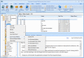 Restore Database from Exchange Disaster