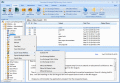 Screenshot of MS Exchange Server Recovery Freeware 17.05