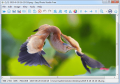 Free image viewer and batch image converter