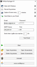 Screenshot of Wolfeye Keylogger 4.1