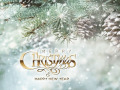 Free animated Christmas Holiday Screensaver.