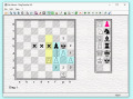A free positions Chess editor tool
