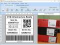 Screenshot of Batch Processing Barcode Labeling Tool 9.2.3.3