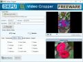Software generate high quality cropping video