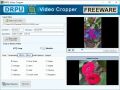 Screenshot of Download Freeware Video Cropping Tool 2.2.0.1