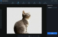 Screenshot of AVCLabs PhotoPro AI 1.0.0