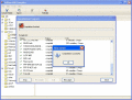 Screenshot of AdRem SNMP Manager 1.0
