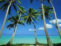 Tropical Islands on your desktop