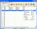 Screenshot of Junk Mail Remover 1.3