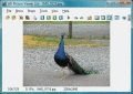 Compact, easy-to-use image viewer.