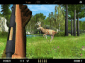 Arcade-style 3D deer hunting game