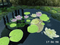 Screenshot of 3D Pond screensaver 1.1