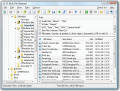 Screenshot of EF Multi File Renamer 23.01