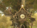 A wonderful Cuckoo Clock in the deep forest.