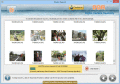 Picture restoration tool regains lost images