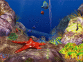Screenshot of 3D Ocean Fish ScreenSaver 3.5