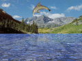 Screenshot of Free 3D Dolphin Aqua 3.76