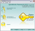 Screenshot of QuickBooks Password 11.0.7828