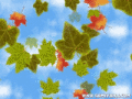 3D nice nature Screensaver with autumn mood.