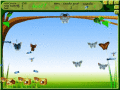 Screenshot of Spider Hunting 2.1