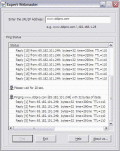 Network website server monitoring utility