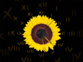 Screenshot of Sunflower Clock ScreenSaver 2.3