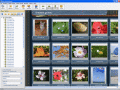 Screenshot of Web Photo Album 1.2