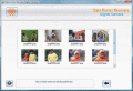 Excellent digital picture recovery software
