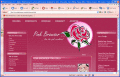 Pink Browser is a free web browser for girls