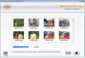 Digital picture recovery tool rescue photos