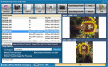 Screenshot of IRedSoft Image Resizer 5.15