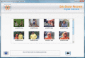 Screenshot of Digicam picture recovery software 3.0.1.5