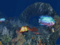 Screenshot of 3D Aquatic Life Screensaver: Fish! 1.1.0