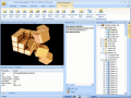 Screenshot of Flash Decompiler Trillix 5.3.1