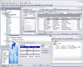 Screenshot of EMS SQL Manager for MySQL Freeware 4.5