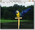 Screenshot of AV Digital Talking Parrot 1.0.12