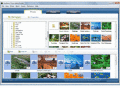 Screenshot of SkyAlbum Photo Gallery Builder 1.00