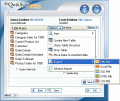 Screenshot of DbQwikSync PRO 1.3