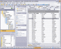 Screenshot of EMS SQL Manager for Oracle 2.4