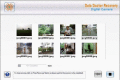 Digital camera deleted pictures recovery tool