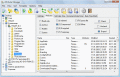 Screenshot of Attribute Manager 5.58