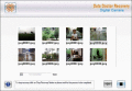 Download digital camera picture rescue tool