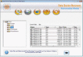 Screenshot of Removable Media File Salvage Program 3.0.1.5