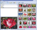 Screenshot of Able Image Browser 2.0