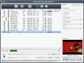 Screenshot of 4Media Video Converter Standard for Mac 6.0.14.1203