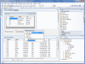 Screenshot of DotConnect for SQL Server 2.15