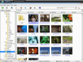 Screenshot of MovieShop Browser 1.2.9