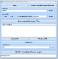 Screenshot of Download and Save All Images On Web Sites Software 7.0