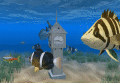Screenshot of Aquarium Clock 3D Screensaver 1.0.2