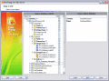 Converting databases to MS SQL databases.